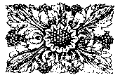 flwr008.gif (2242 bytes)