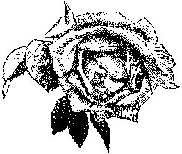 flwr013.gif (4330 bytes)